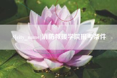 荆州消防救援学院报考条件