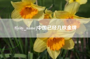 荆州中国已经几枚金牌