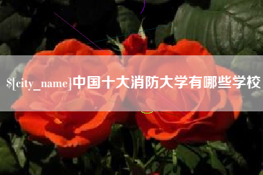 荆州中国十大消防大学有哪些学校