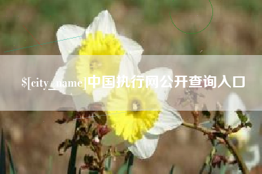 荆州中国执行网公开查询入口