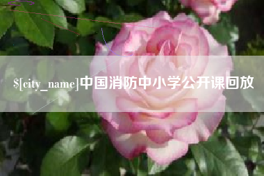 荆州中国消防中小学公开课回放