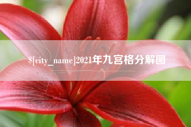 荆州2021年九宫格分解图