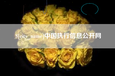 荆州中国执行信息公开网