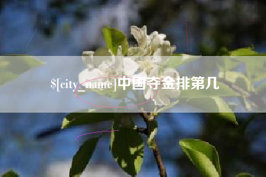 荆州中国夺金排第几