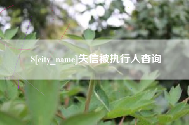 荆州失信被执行人杳询
