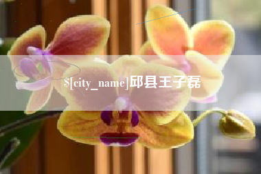 荆州邱县王子磊