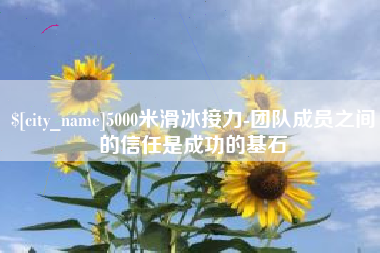 荆州5000米滑冰接力-团队成员之间的信任是成功的基石