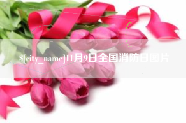 荆州11月9日全国消防日图片