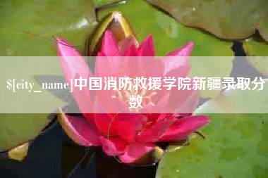 荆州中国消防救援学院新疆录取分数
