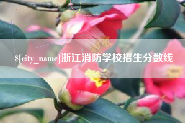 荆州浙江消防学校招生分数线
