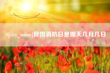 荆州我国消防日是哪天几月几日