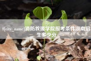 荆州消防救援学院报考条件湖南招生多少分
