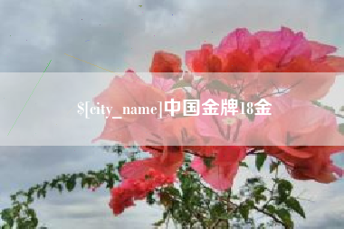 荆州中国金牌18金