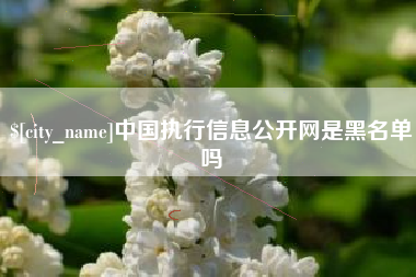 荆州中国执行信息公开网是黑名单吗