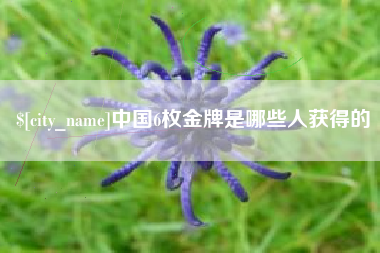荆州中国6枚金牌是哪些人获得的