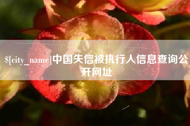 荆州中国失信被执行人信息查询公开网址
