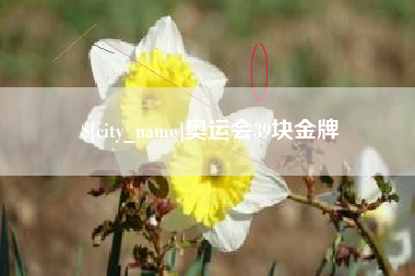 荆州奥运会39块金牌