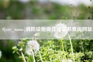 荆州消防设施操作员证书查询网址
