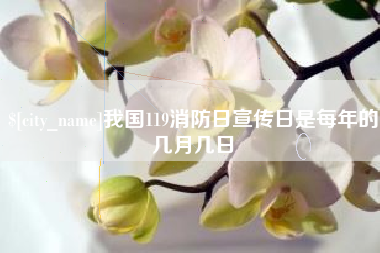 荆州我国119消防日宣传日是每年的几月几日