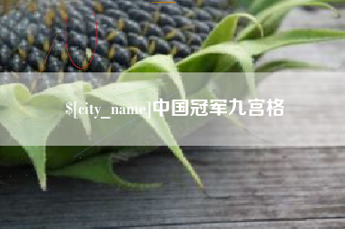 荆州中国冠军九宫格