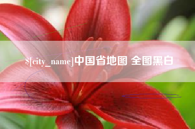荆州中国省地图 全图黑白
