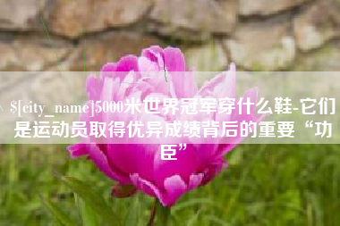 荆州5000米世界冠军穿什么鞋-它们是运动员取得优异成绩背后的重要“功臣”