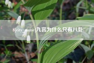 荆州九宫为什么只有八卦