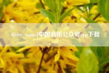 荆州中国消防公众号app下载