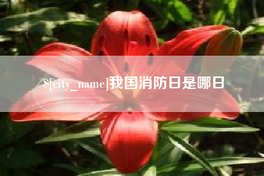 荆州我国消防日是哪日
