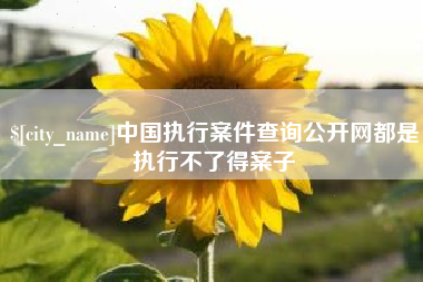 荆州中国执行案件查询公开网都是执行不了得案子
