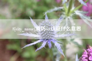 荆州消防ccc认证什么意思