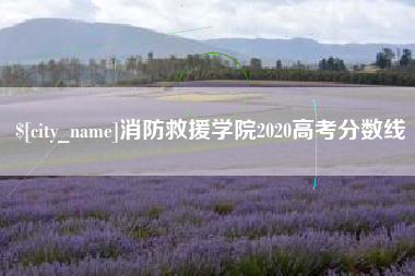 荆州消防救援学院2020高考分数线