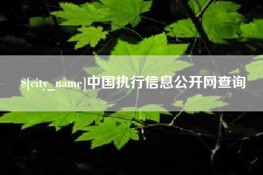 荆州中国执行信息公开网查询