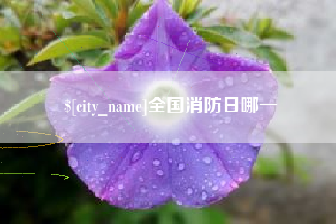 荆州全国消防日哪一