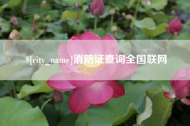荆州消防证查询全国联网