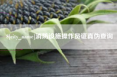 荆州消防设施操作员证真伪查询