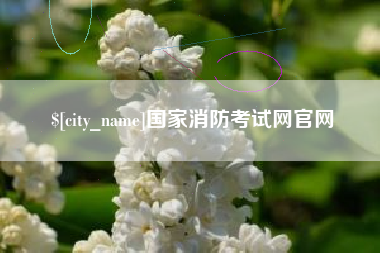荆州国家消防考试网官网