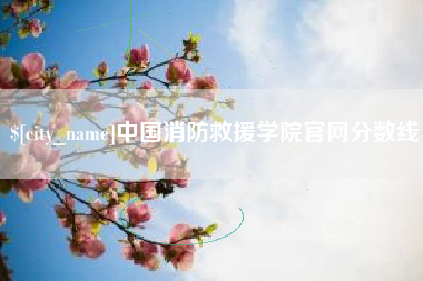 荆州中国消防救援学院官网分数线