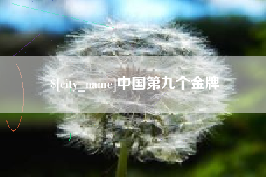 荆州中国第九个金牌