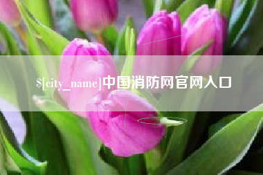 荆州中国消防网官网入口