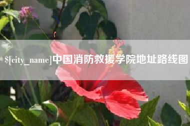 荆州中国消防救援学院地址路线图