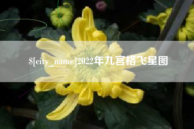 荆州2022年九宫格飞星图