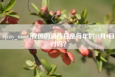 荆州我国的消防日是每年的11月9日对吗？