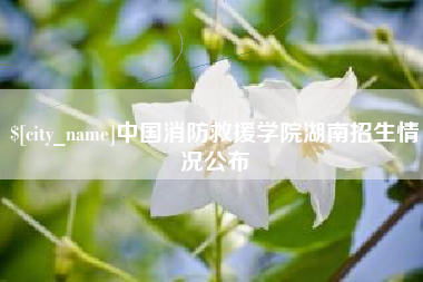 荆州中国消防救援学院湖南招生情况公布