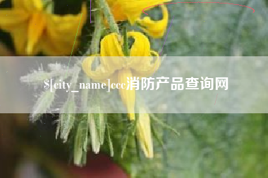 荆州ccc消防产品查询网