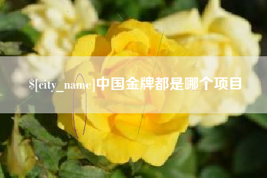 荆州中国金牌都是哪个项目