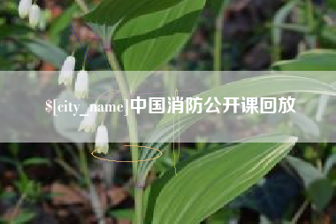 荆州中国消防公开课回放