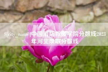 荆州中国消防救援学院分数线2023年河北录取分数线