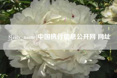 荆州中国执行信息公开网 网址