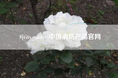 荆州中国消防产品官网
